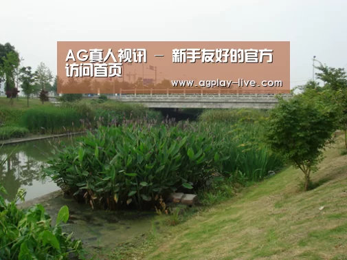 案例展示四(图1)