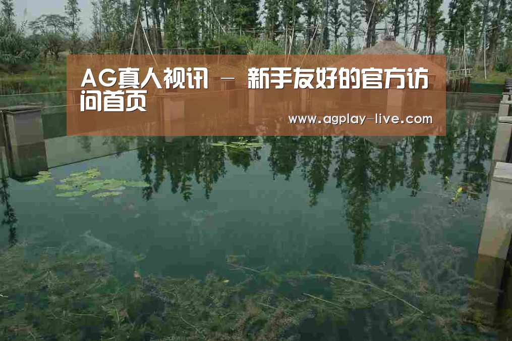 案例展示二(图1)