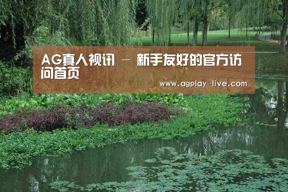 案例展示一(图1)