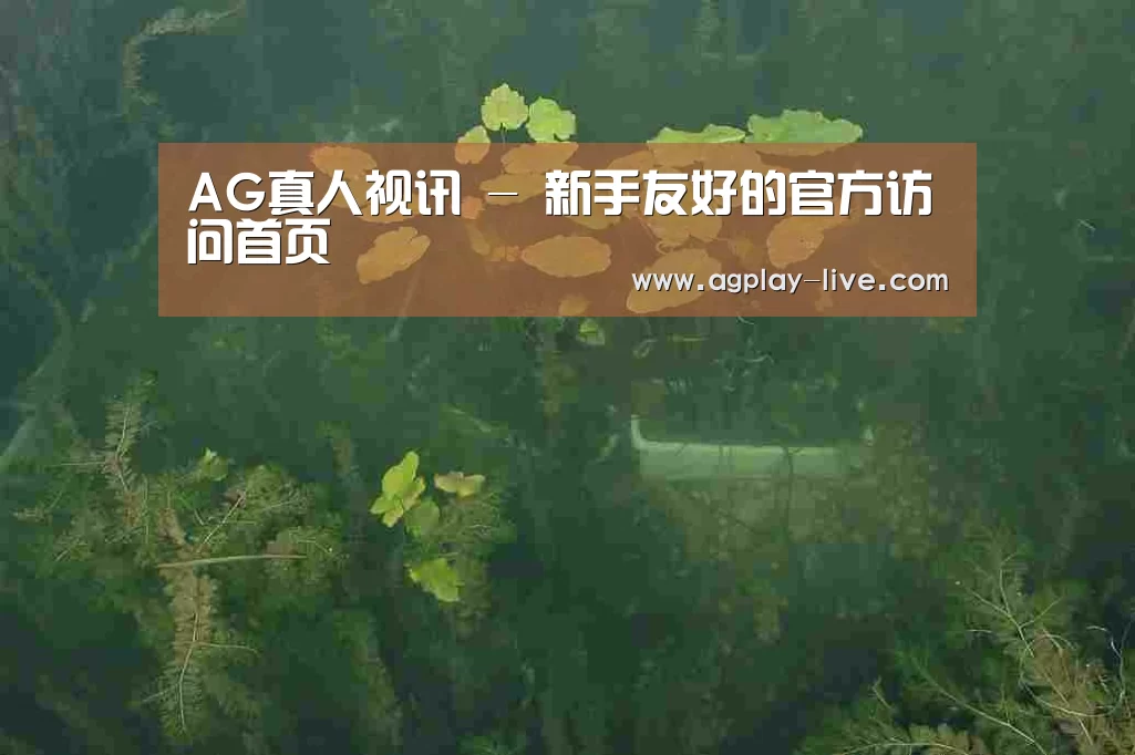 案例展示三