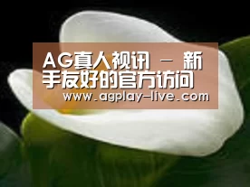 产品名称七