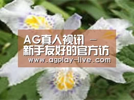 产品名称二