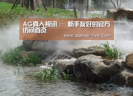 案例展示五