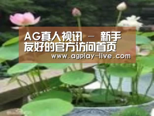 产品名称一