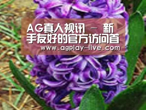 产品名称八