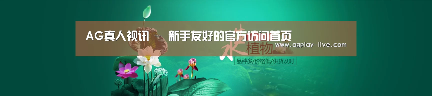 鲜花水草花卉网站模板