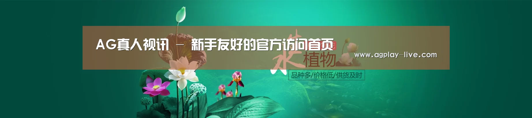 鲜花水草花卉网站模板