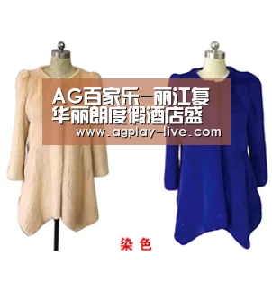 AG入口