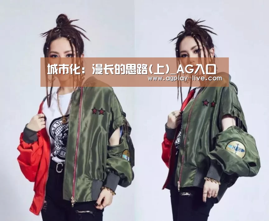 城市化:漫长的思路(上)_AG入口(图2) AG百家乐