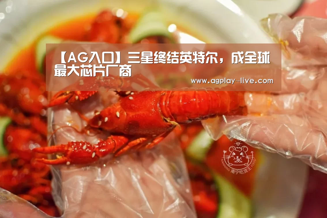 【AG入口】三星终结英特尔,成全球最大芯片厂商(图3) AG百家乐