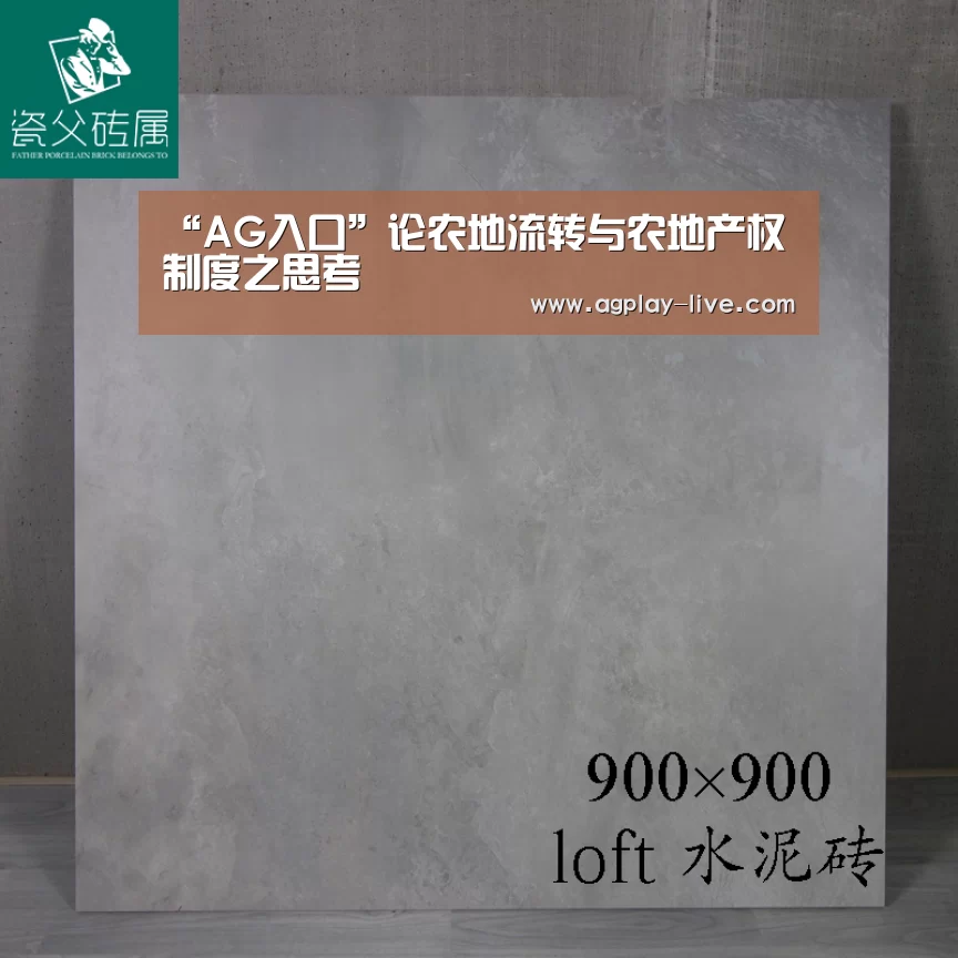 “AG入口”论农地流转与农地产权制度之思考(图3) AG百家乐
