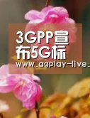 3GPP宣布5G标准冻结推迟三个月将对产业有何影响?:AG电竞(图1) AG地址