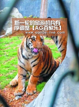 新一轮的旅游机构有序调整【AG百家乐】(图2) AG入口